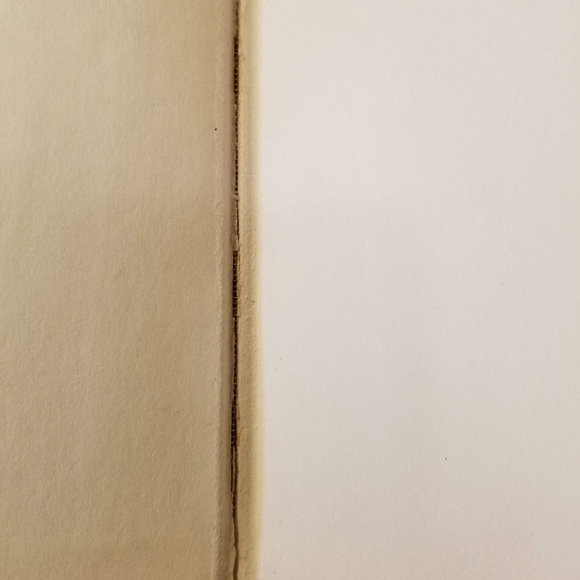 The Family Nobody Wanted - Picture 8 of 14